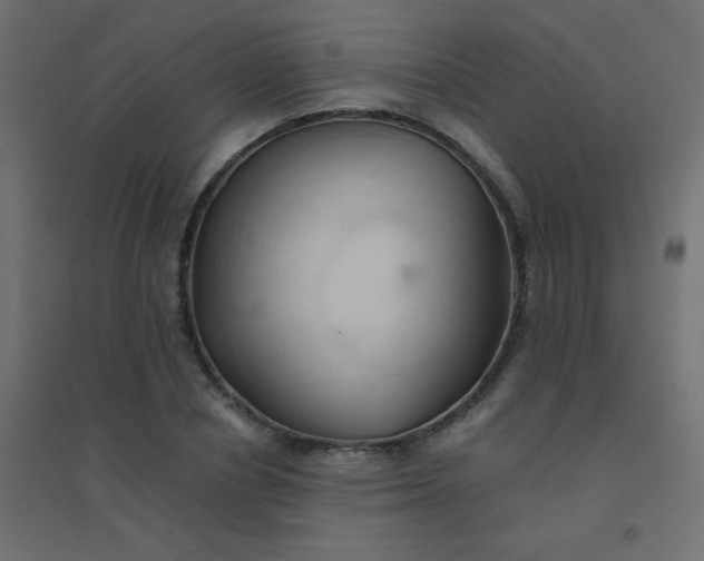 X0000094450834200711211517