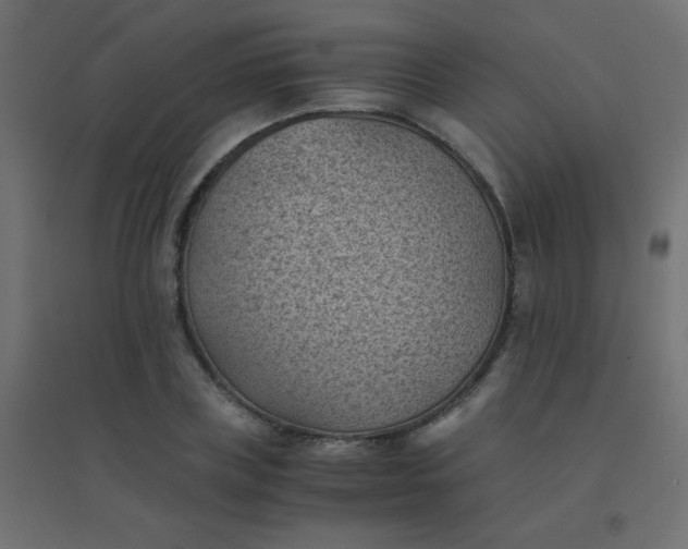 X0000094450835200711211517