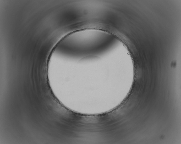 X0000094450836200711211517