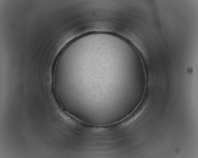 X0000094450837200711211517