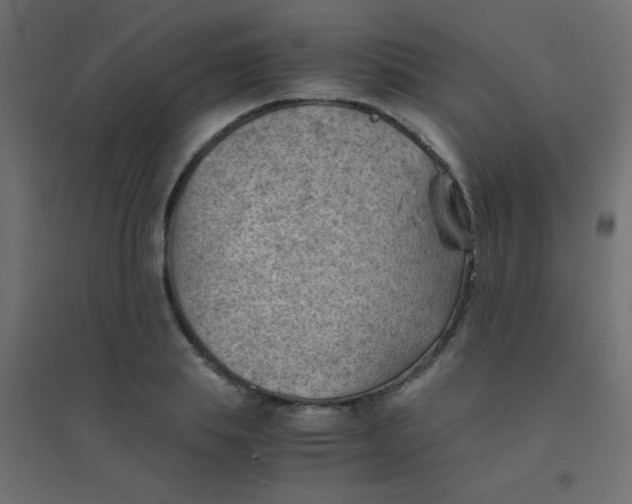 X0000094450839200711211517