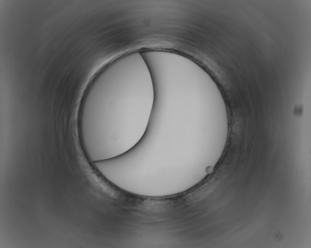 X0000094450840200711211517