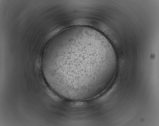 X0000094450841200711211517