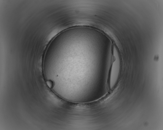 X0000094450842200711211517