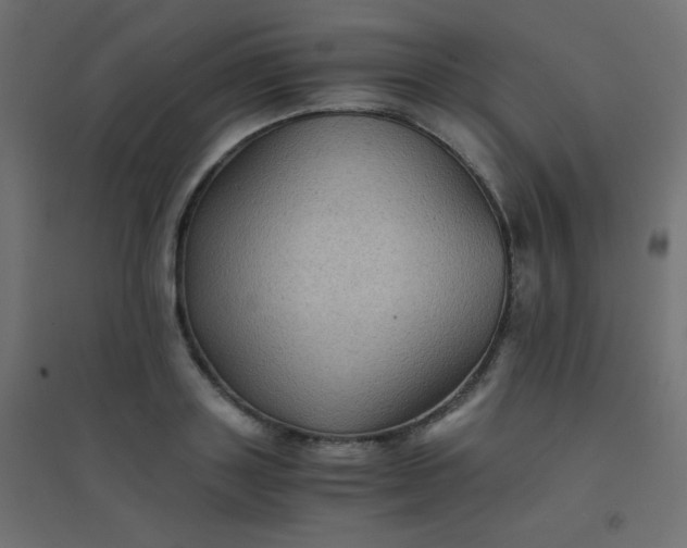 X0000094450843200711211517