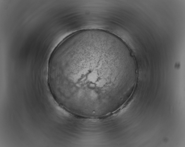 X0000094450844200711211517