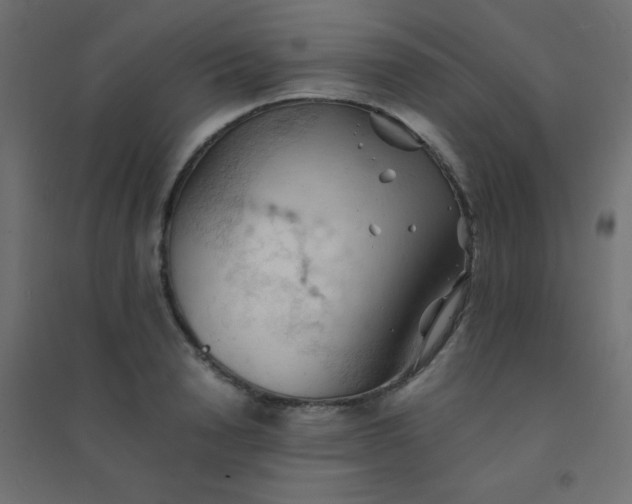 X0000094450846200711211517