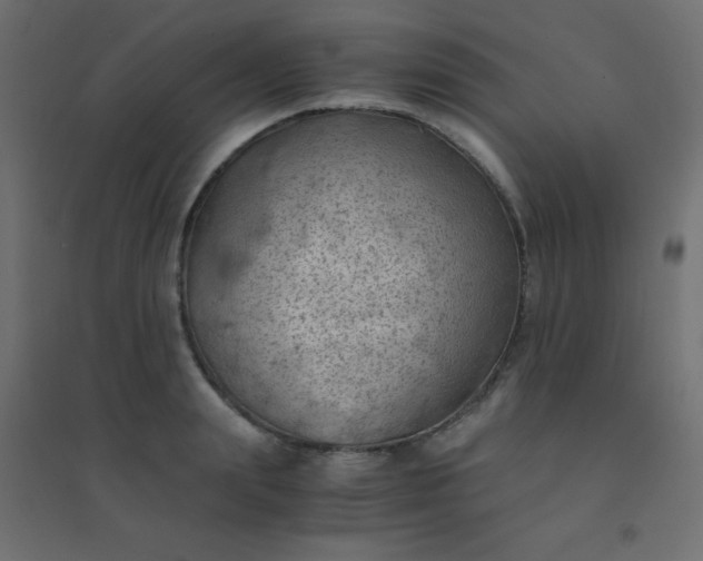 X0000094450847200711211517