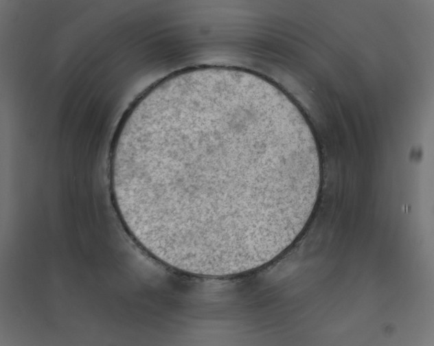 X0000094450848200711211517