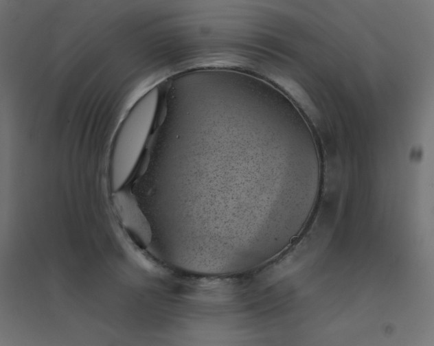 X0000094450850200711211517