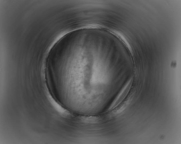 X0000094450851200711211517