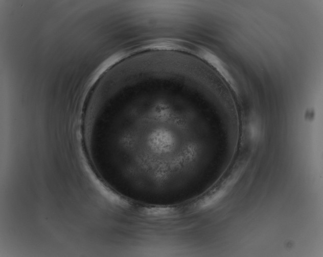 X0000094450853200711211517