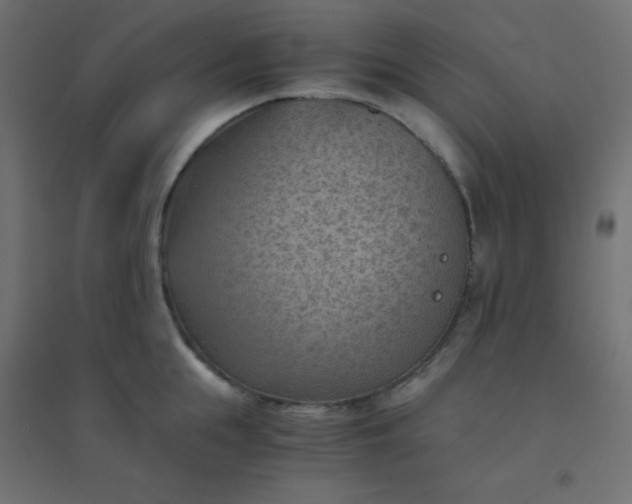 X0000094450855200711211517