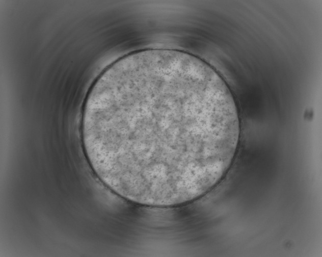 X0000094450856200711211517