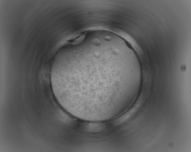 X0000094450857200711211517