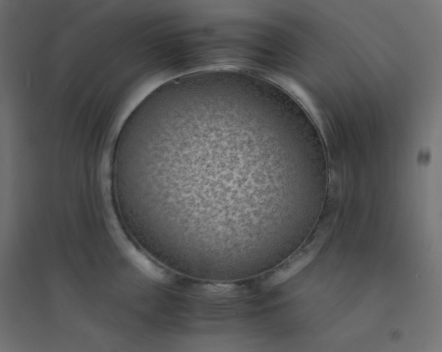 X0000094450859200711211517