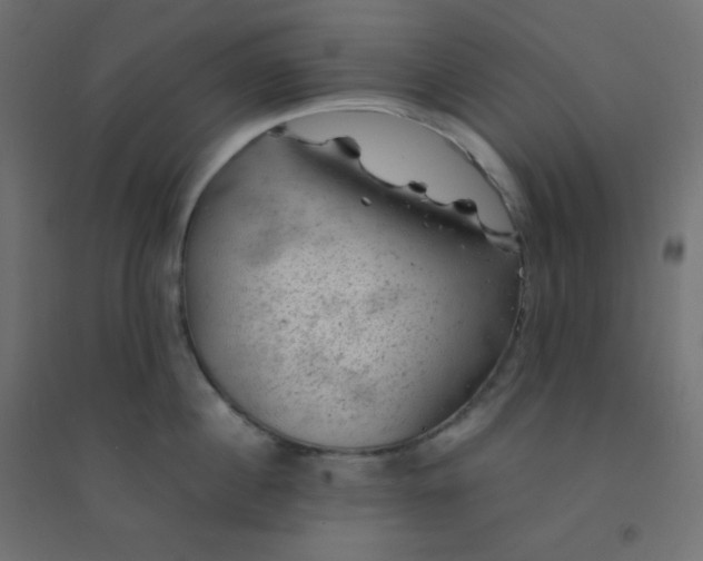 X0000094450860200711211517