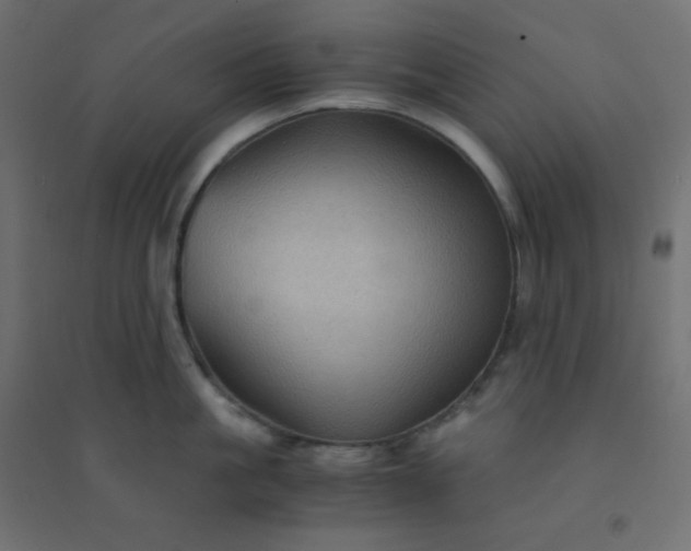 X0000094450861200711211517