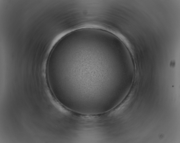 X0000094450862200711211517