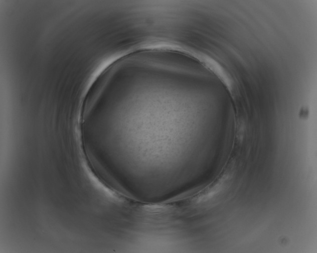 X0000094450863200711211517