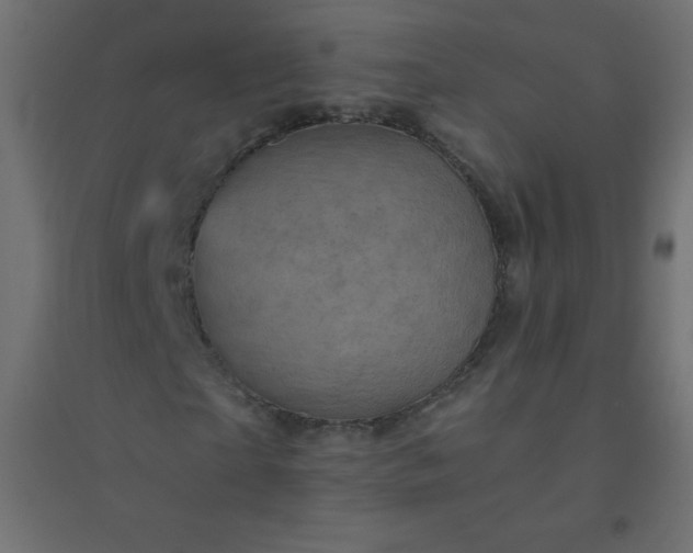 X0000094450865200711211516