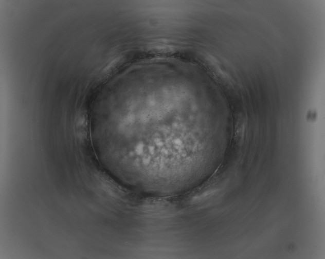 X0000094450866200711211516