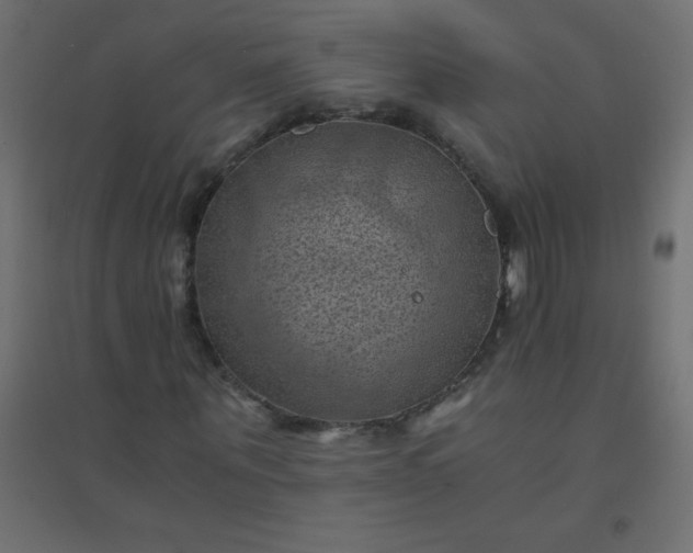 X0000094450867200711211516