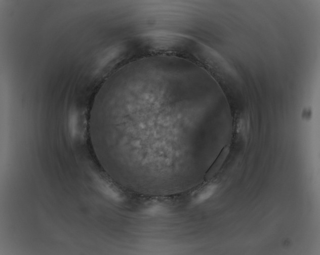 X0000094450868200711211516