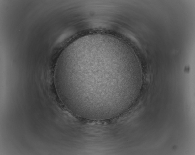 X0000094450869200711211516