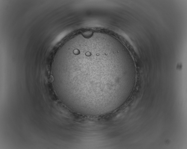 X0000094450871200711211516