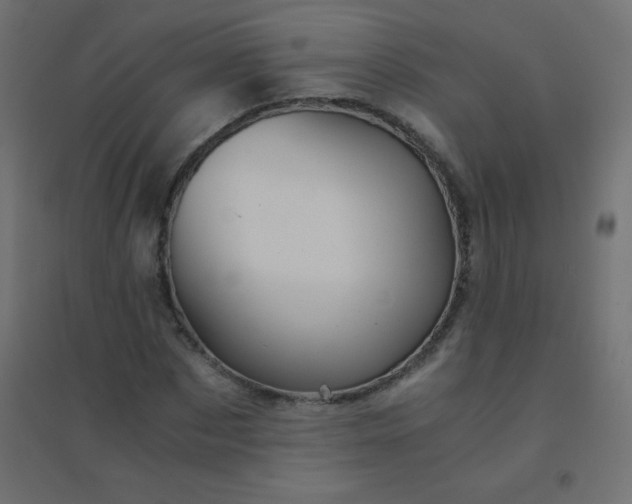 X0000094450873200711211516