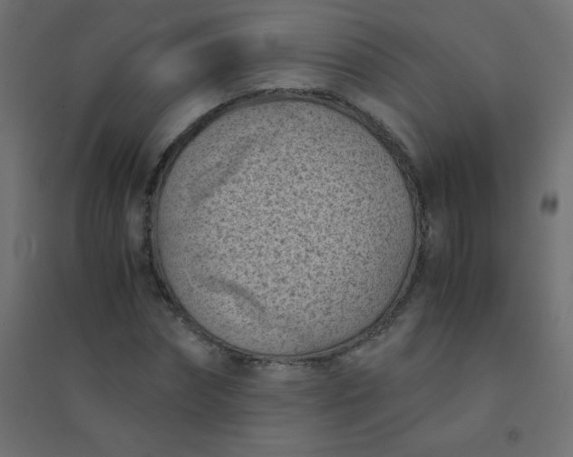 X0000094450874200711211516