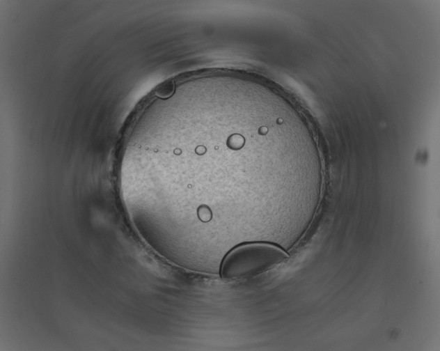 X0000094450875200711211516