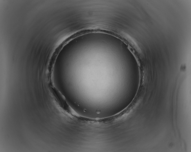 X0000094450876200711211516