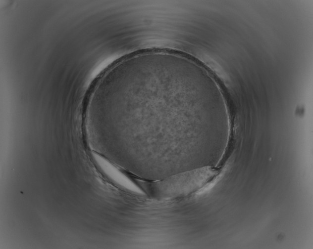 X0000094450877200711211516