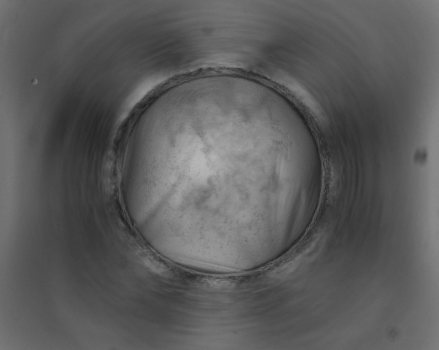 X0000094450878200711211516