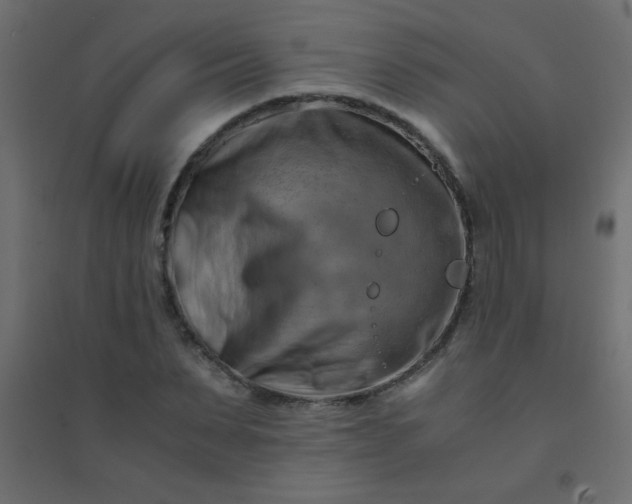 X0000094450879200711211516