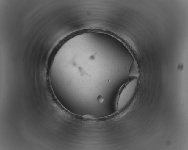 X0000094450880200711211516