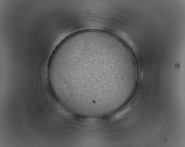 X0000094450883200711211516