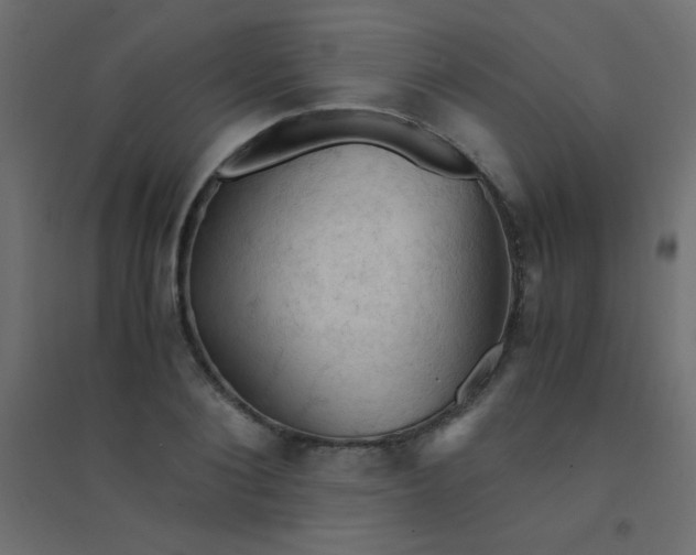 X0000094450884200711211516