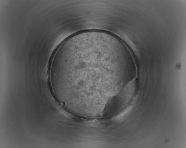 X0000094450885200711211516