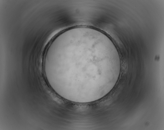 X0000094450886200711211516