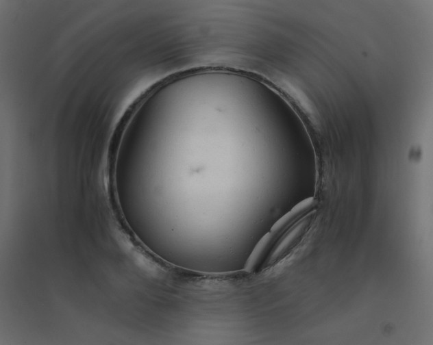 X0000094450888200711211516