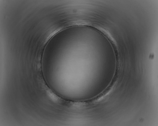 X0000094450889200711211516