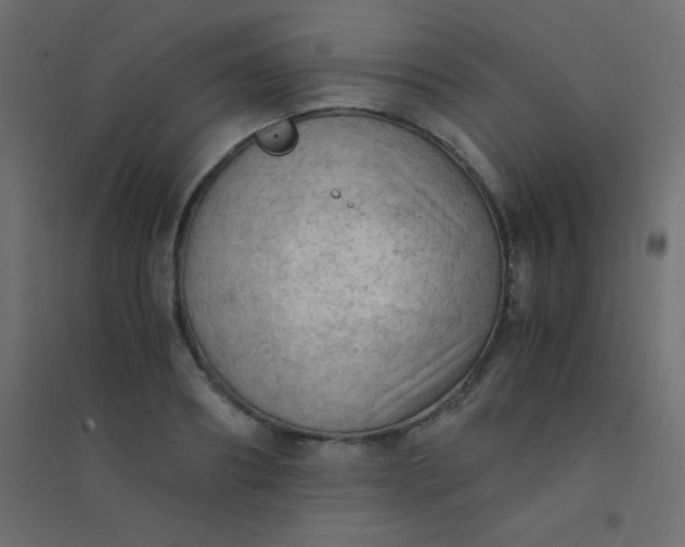 X0000094450890200711211516