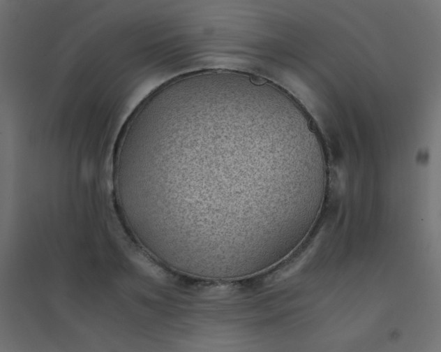 X0000094450891200711211516