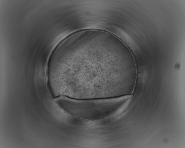 X0000094450892200711211516