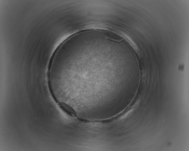 X0000094450893200711211516