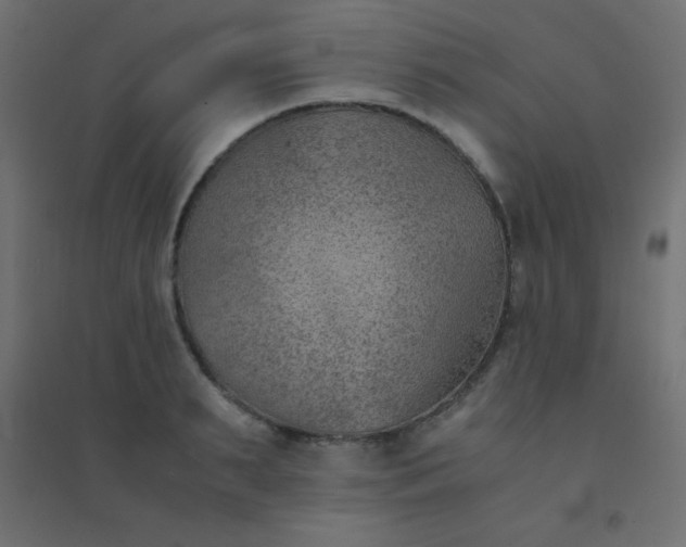 X0000094450895200711211516