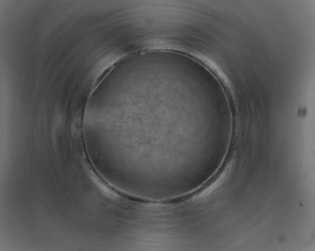 X0000094450897200711211516